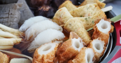 Oden (Japanese Fish Cake Stew) - likebyregina